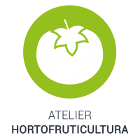 icone-hortofruticultura